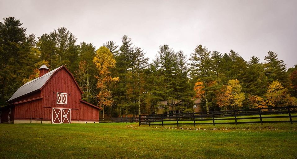 red barn on farm with tree in background
