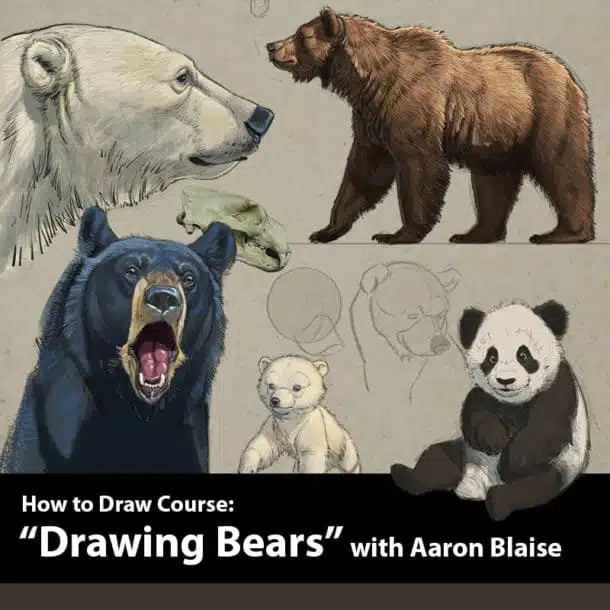 "Drawing Bears" with Aaron Blaise